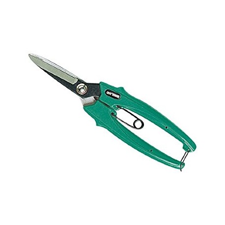 forbice cogliuva papillon