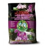 Terriccio per orchidee