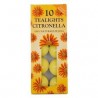 Candela tealights alla citronella