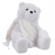 Orso polare bianco