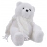 Orso polare bianco