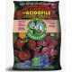 terriccio specifico per acidofile