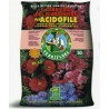 terriccio specifico per acidofile